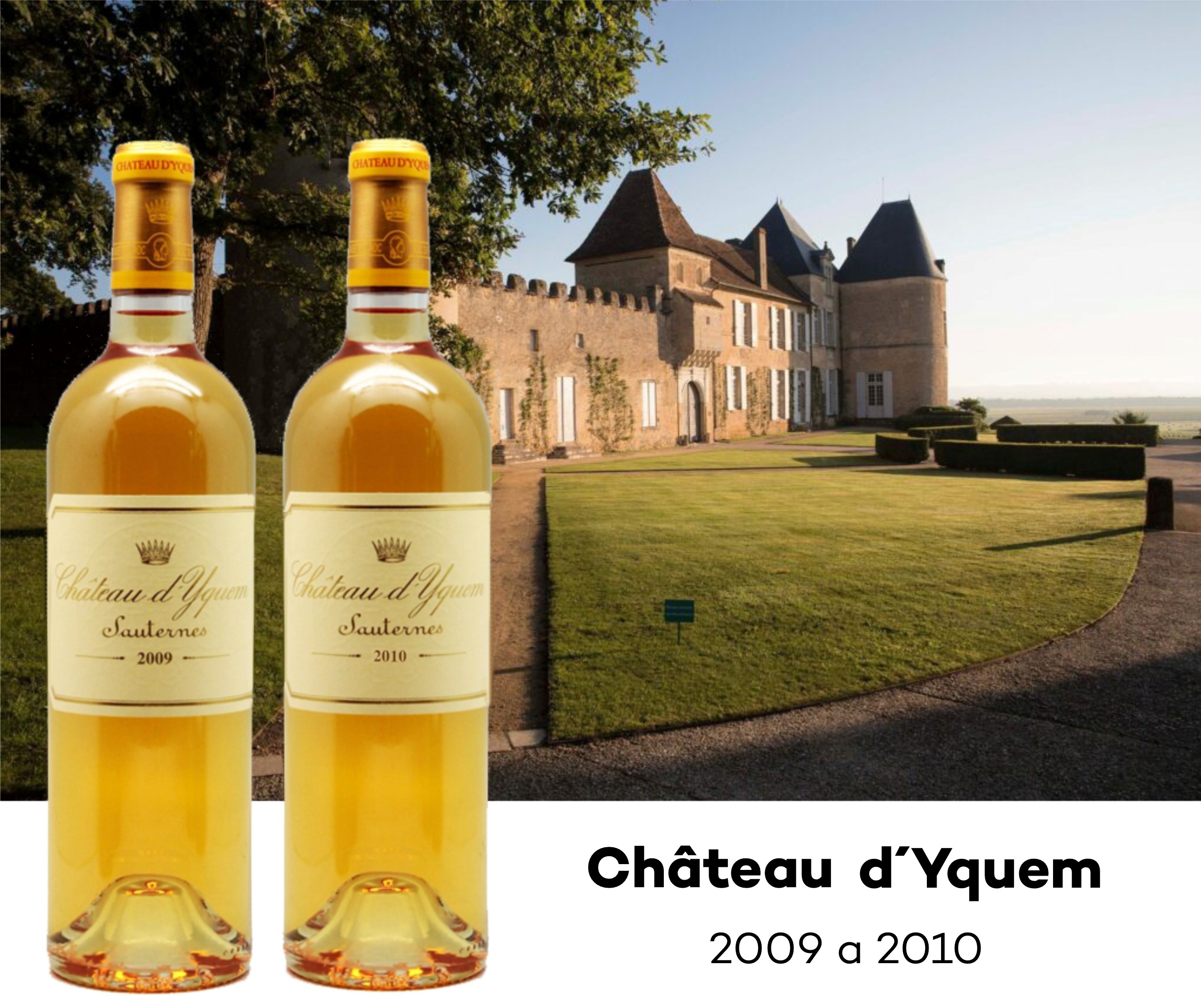 Château-dYquem Bordeaux FEST